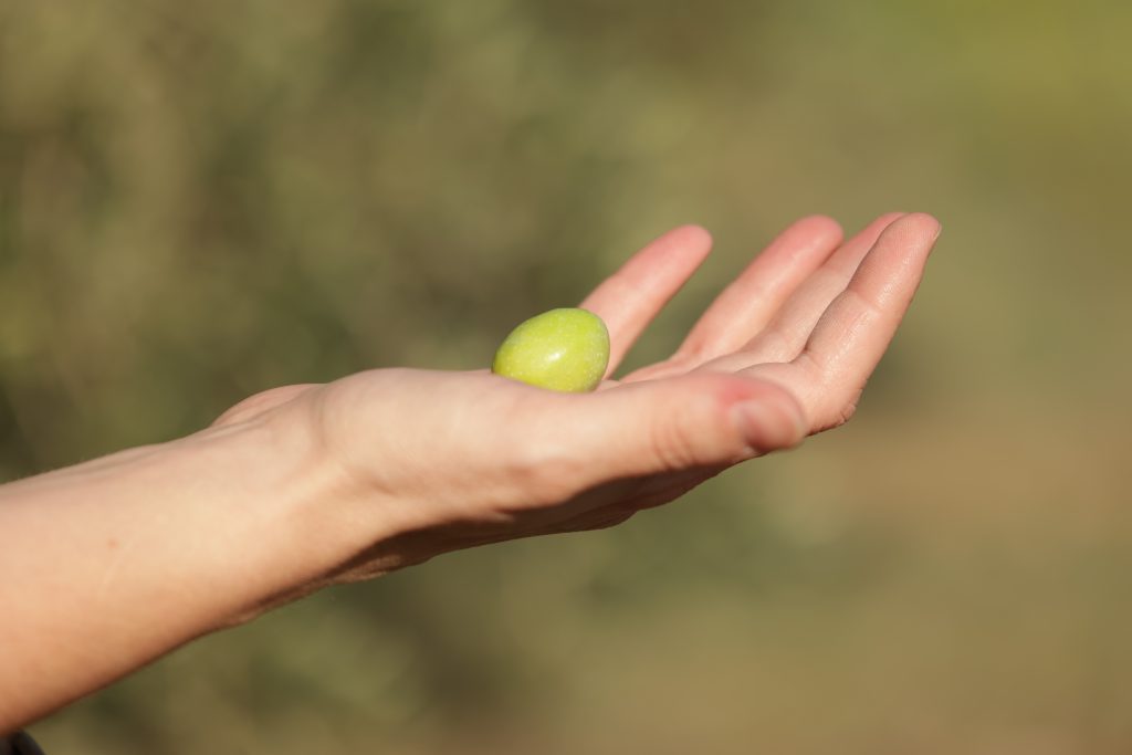 utilisations huile d'olive